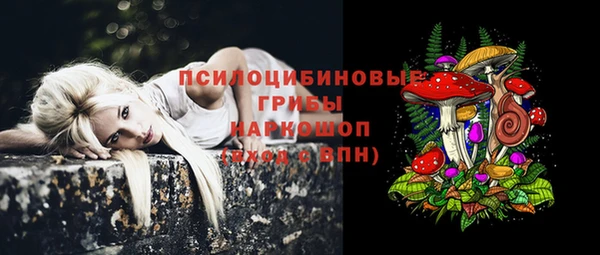 дмт Армянск