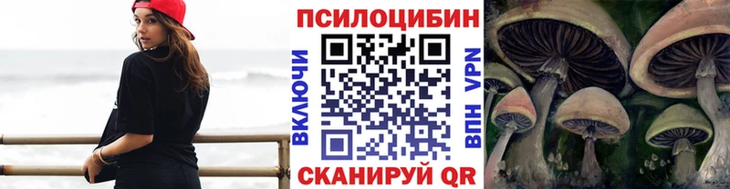 Галлюциногенные грибы Magic Shrooms  Багратионовск 